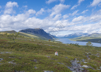 萨尔托拉普兰风景美丽 河流为Lulealven 雪盖山 白树和瑞典野生生物以北Saltoluokta附近的Kungsleden徒步小径背景