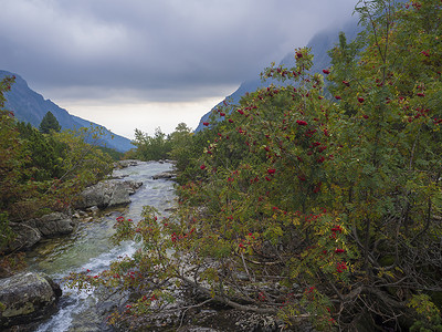 高塔特拉山区红色斯洛伐克高塔特拉山脉山的野生河流中 有巨石 秋色彩色延绳树和喜悦的天空旅行溪流石头蓝色学习瀑布爬坡岩石树木国家背景