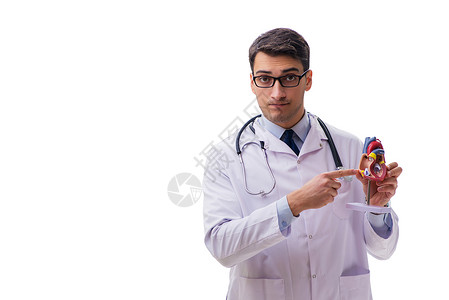 年轻医生 心脏形状与白皮肤隔离的年轻医生药品教育心血管学生学习从业者心脏病学考试诊所心电图背景图片