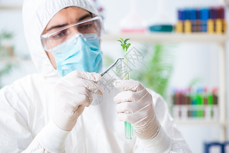 烧杯植物在植物实验室工作的男性生物化学家技术镊子显微镜实验检查药理医生测试生物学研究员背景