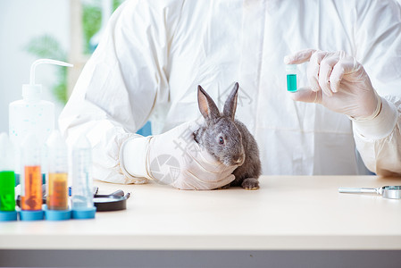 生病的兔子可爱的专家高清图片