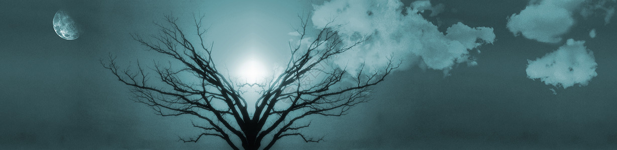 生命树精神帆布孤独插图天空生活太阳月亮金子魔法背景图片