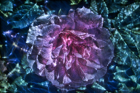 紫色牡丹花纹图3D说明高能千里氏纤维的春花活力辉光雕刻宇宙婚礼庆典花朵蓝色粒子植物背景