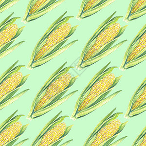拉手手绘写实玉米棒子的无缝图案 绿色背景上有叶子 生态蔬菜植物 店铺设计 健康生活方式 包装 纺织品 手绘水彩插图 植物写实艺术背景