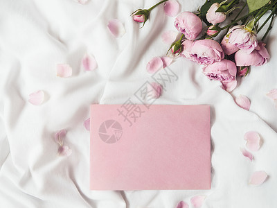 玫瑰信封素材玫瑰和花瓣在压碎的白色白织物上 自然优雅的装饰品植物群静物信封就寝植物粉色笔记折叠时间被单背景