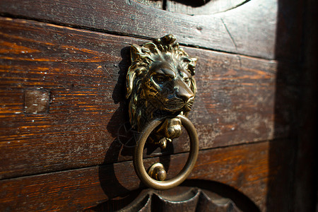 职场女性敲总经理室门古老的门锁着敲门器 以狮子头的头将戒指套在牙齿上的形式 关于旧欧洲的结构 详情见建筑房子黄铜动物雕塑艺术装饰风格装饰品狮子背景