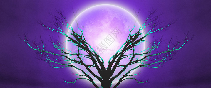 生命树场景宇宙月亮地球紫色孤独艺术品精神天空小说背景图片