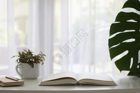 室内装饰桌 有白色笔记本和用窗帘看透的植物锅背景图片