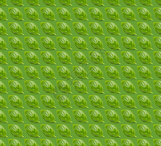 绿色背景上的意大利罗勒叶草无缝图案由新鲜绿色罗勒平铺布局制成的创意无缝图案芳香叶子高架树叶蔬菜香料宏观绿叶农业植物背景图片