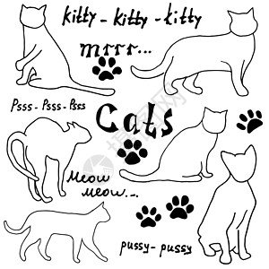 猫矢量免费手绘素描猫 silhoets 和痕迹 带刻字的轮廓涂鸦 在白色背景上隔离的矢量图解元素猫咪冒充团体爪子宠物捕食者踪迹野生动物哺乳背景