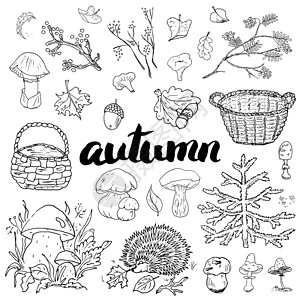 水果动物秋季设置 手画面条和字母矢量图解衣服季节雨衣插图叶子收藏蔬菜食物雨滴草图背景