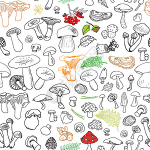 手绘蘑菇线稿蘑菇手画草图 无缝模式 矢量说明食物烹饪帽子手绘叶子季节森林毒菌植物篮子背景