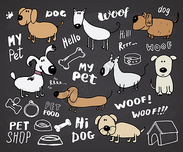 粉笔漫画滑稽的狗面条 手画素描的宠物收藏品 粉笔板背景上的矢量说明快乐犬类黑板哺乳动物插图爪子绘画涂鸦动物团体背景