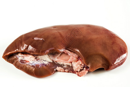 猪肉的肾器官中庭白色科学动脉动物医疗组织身体药品背景图片