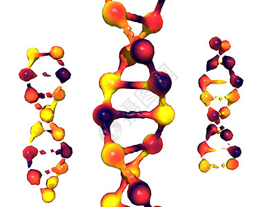 碱基对双重螺旋DNA作为遗传物质的载体红色科学原子遗传学黄色背景