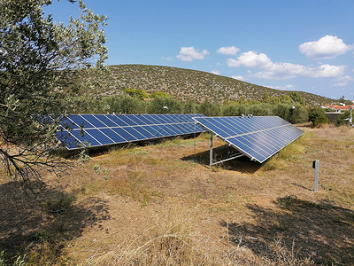 橄榄园内光伏太阳能电池板的电源阵列高清图片