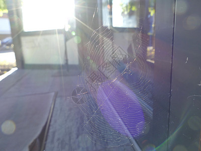 蜘蛛在门边的反光网中背景图片