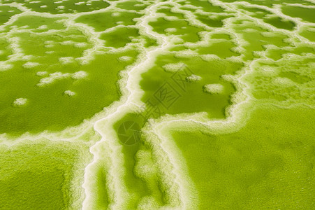 翠舒尔海洋自然的高清图片