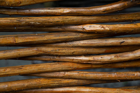 木制网或木的背面园艺植物竹子木头家庭硬木树叶地面热带桌子背景图片