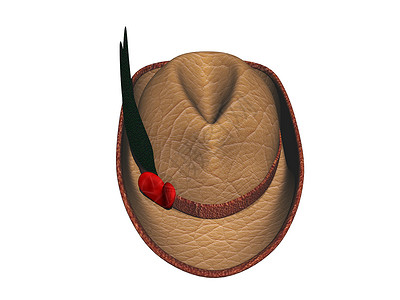 棕褐色的帽子 有双纹和羽毛棕色衣服边缘绿色防晒帽绳红色背景图片