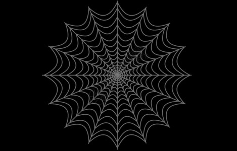 黑色蜘蛛安全网黑色的高清图片