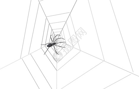 网上黑蜘蛛蜘蛛网蜘蛛厌恶灰色线程网络织线蜘蛛丝捕食者黑色背景图片