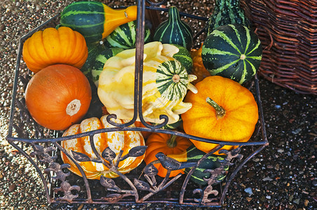 用于装饰的壁球篮子绿色季节性桌子家居橙子蔬菜背景图片