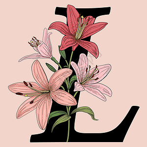 手绘百合花朵字母L矢量标志单词与粉色百合花背景
