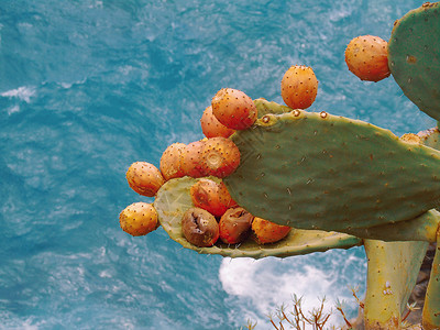 意大利秋季旅行水果情调海滩旅游热带风景海洋异国植物学背景图片