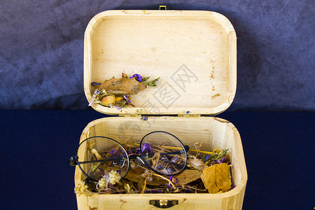 你要干啥秋天主题集 盒箱和干鲜花和植物太阳镜花瓣收藏植物学季节叶子回忆橙子阅读刻字背景