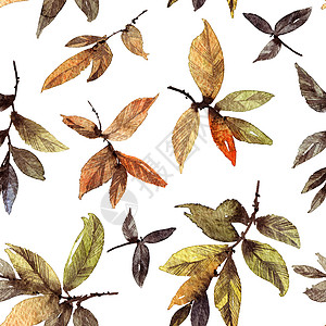热带叶叶图案水叶颜色形态绘画热带叶子国画刷子墙纸树叶植物艺术品水彩背景