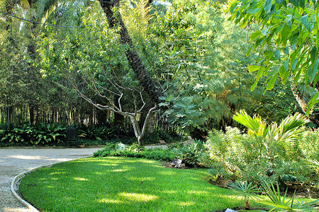 阿伯德尔公园花园丰富多彩的高清图片