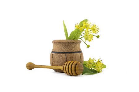 椴树蜂蜜鲜采的黄色林子花木盆花朵药品草本植物食物饮料植物香气叶子植物群疗法背景