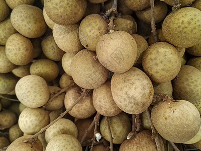 一群龙卷风食物热带水果植物市场棕色异国圆形营养情调背景图片