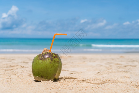 沙滩水果夏天沙滩蓝天的沙子上新鲜椰子可可热带情调蓝色食物稻草海洋旅行水果饮料背景