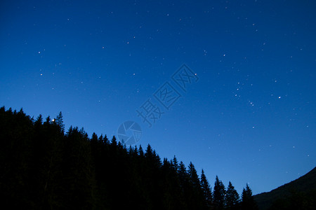 描边星星夜空有星星和圆影 树木和森林男人黑暗植被蓝色月亮植物太阳生物群系星空爬坡背景