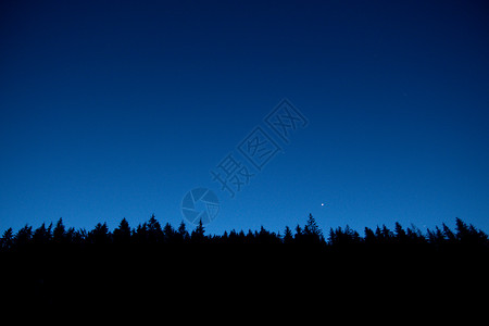 描边星星夜空 月光 背面树和森林背景