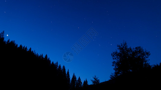 描边星星夜空有星星和圆影 树木和森林黑暗滑雪植被木头自然环境太阳月亮植物太空气氛背景
