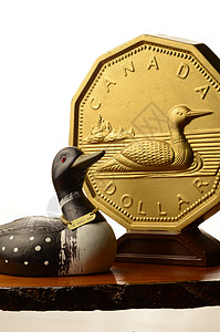 加拿大元(美元)高清图片