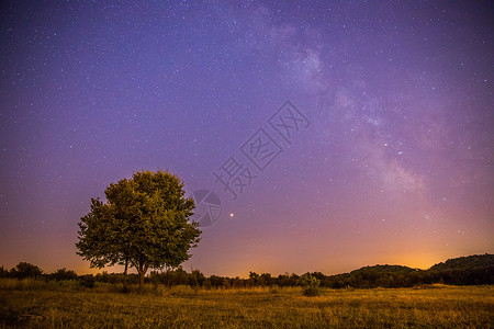 夜晚和星星 风景 夜里清银 孤单的田地和树宇宙物理望远镜史诗夜空科学紫色星尘场地孤独背景图片