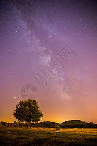 星星树夜晚和星星 风景 夜里清银 孤单的田地和树星光紫色宇宙夜景系统流星天文定位星系星云背景