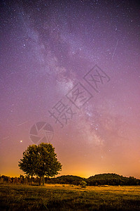 黑夜里的星星夜晚和星星 风景 夜里清银 孤单的田地和树星光紫色宇宙夜景系统流星天文定位星系星云背景