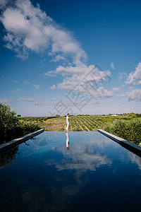 在意大利西西西里岛Selinunte酒田的豪华度假胜地 在葡萄园的无穷池塘中观红田招待所别墅幸福旅游假期蓝天泳池甲板水池山脉背景图片