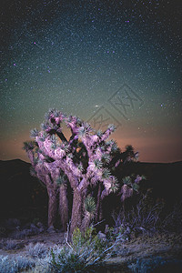 约书亚树天空星系辉光行星星星沙漠背景图片