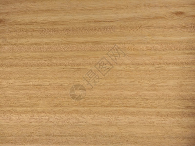天然桉树 pommele 木材纹理背景 供内外饰制造商使用的桉树圆柄单板表面背景