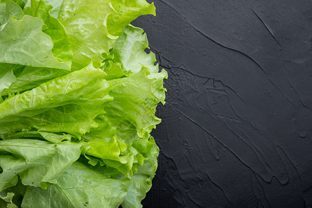 Fesh 绿色生菜沙拉叶 黑色背景和文本复制空间叶子食物沙拉蔬菜农业纹理树叶背景图片