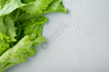 Fesh 绿色生菜沙拉叶 白色背景 有文本复制空间背景图片