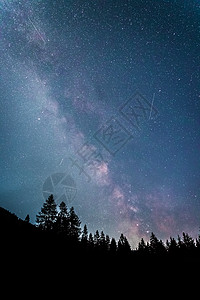 暗夜的银河系 明亮的乳色 树木的光影恒星天文夜景森林星云气氛史诗星星星尘全球背景图片