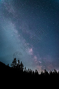 暗夜的银河系 明亮的乳色 树木的光影星系行星天文星尘星星星光宇宙科学物理照片背景图片