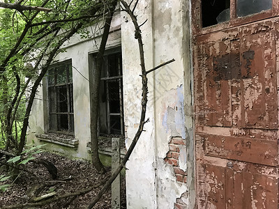 被遗弃的房屋森林房子窗户城市禁区高清图片
